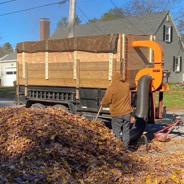 Fall clean ups and property maintenance