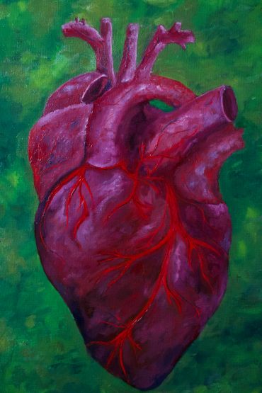 Painting of a human heart against a green background.