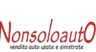 Non Solo Auto 