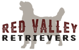 Red Valley Retrievers