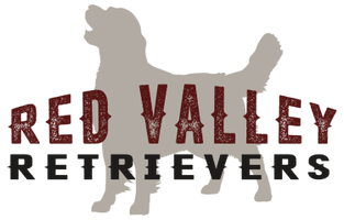 Red Valley Retrievers