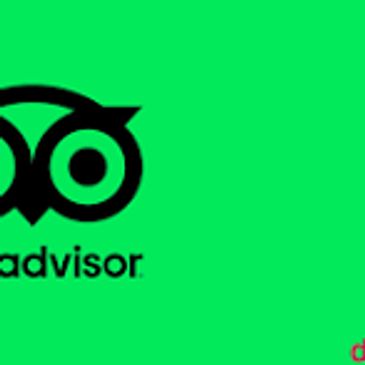 Enjoyed your Tour 
Review us on Trip Advisor