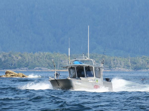 Picture of a speedboat