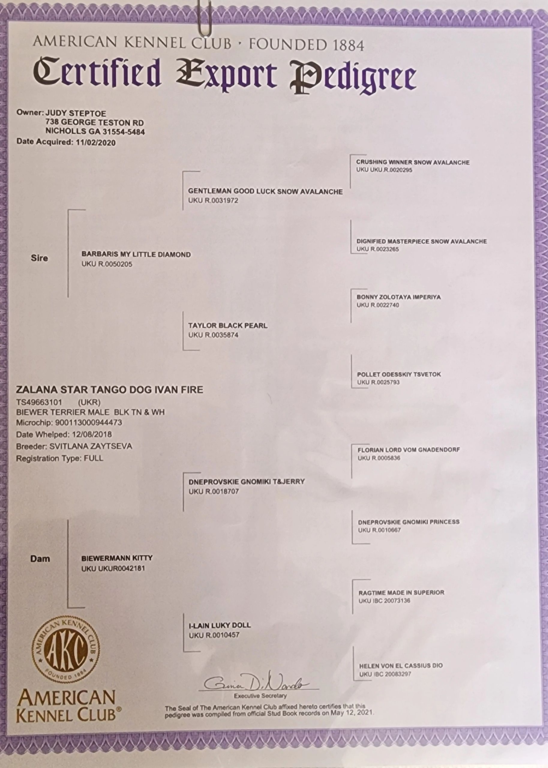 Certified export pedigree for  Zalana Star Tango Dog Ivan Fire.