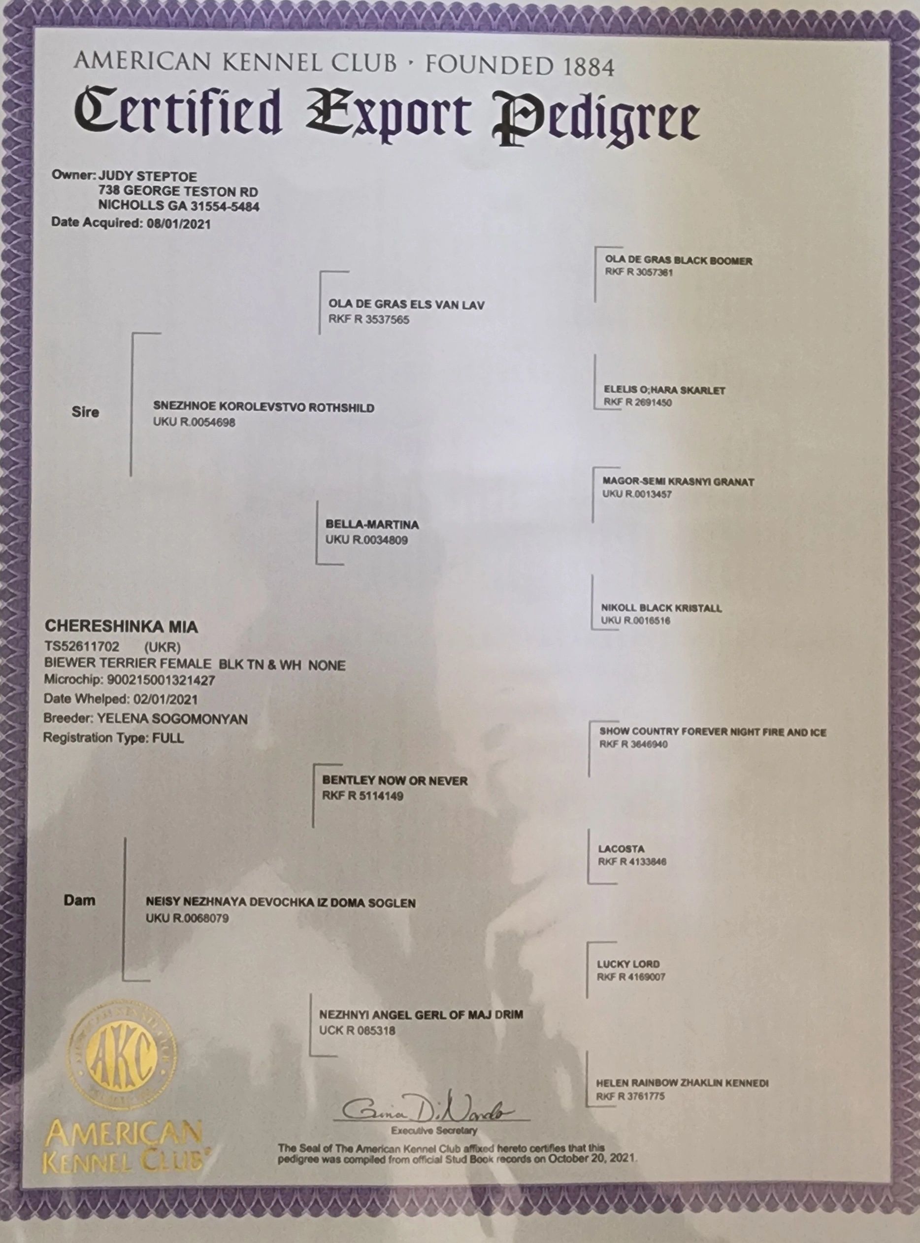 American Kennel Club Certified Export Pedigree for Chereshinka Mia. ( Chloe)
