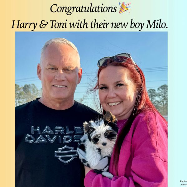 Harry and Toni smile happily holding their new puppy Milo outdoors.
