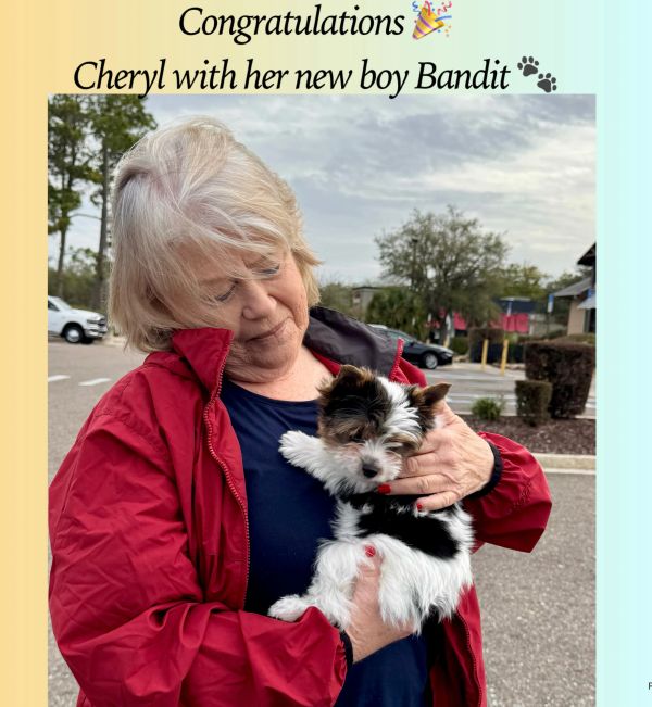 Cheryl holding her new puppy Bandit, smiling gently.