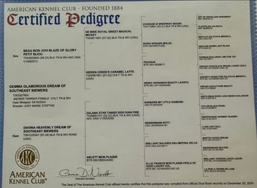 Official American Kennel Club certified pedigree document for a dog.