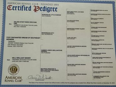 Certified pedigree document from the American Kennel Club for a dog named Foxy Enchanted Dream of Southeast.