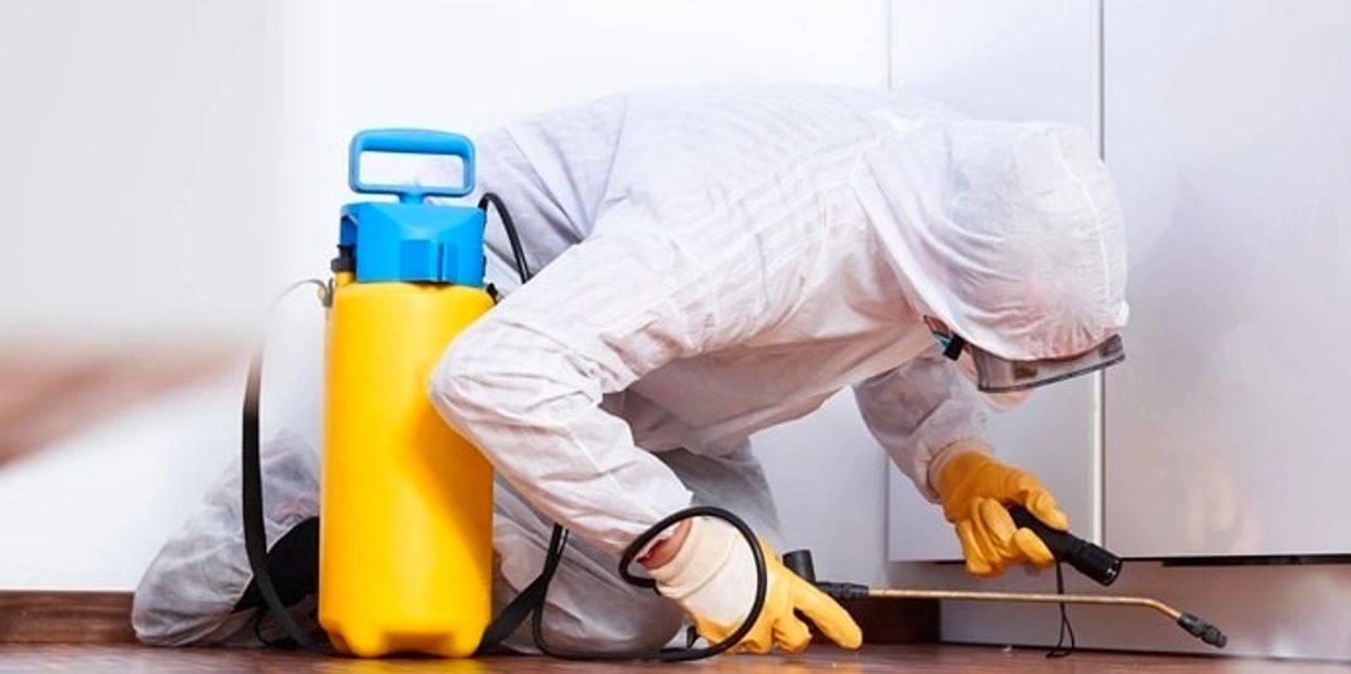 Commercial | Emergency Pest and Wildlife Control