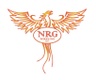 NRG Wireline  LLC
