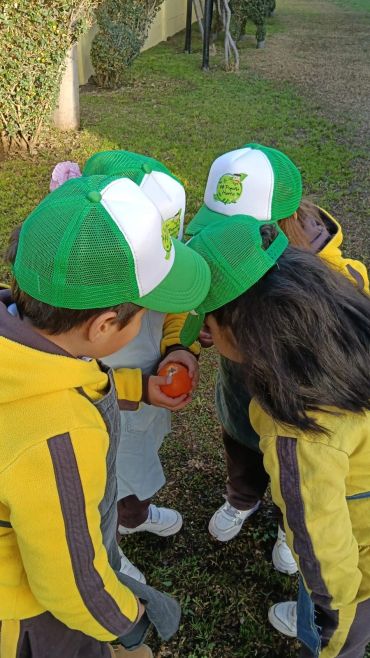 Niños con gorras verdes y chaquetas amarillas observan una mandarina.