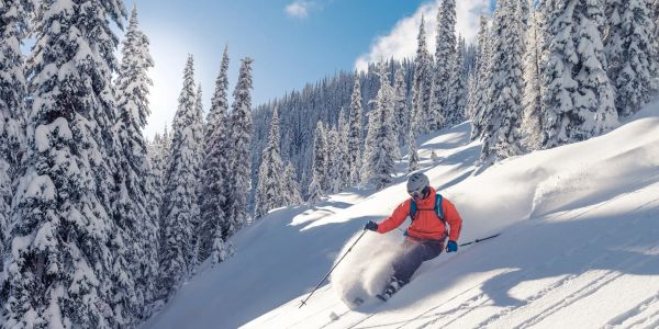 Skier in bright jacket skiing through snow in forest.