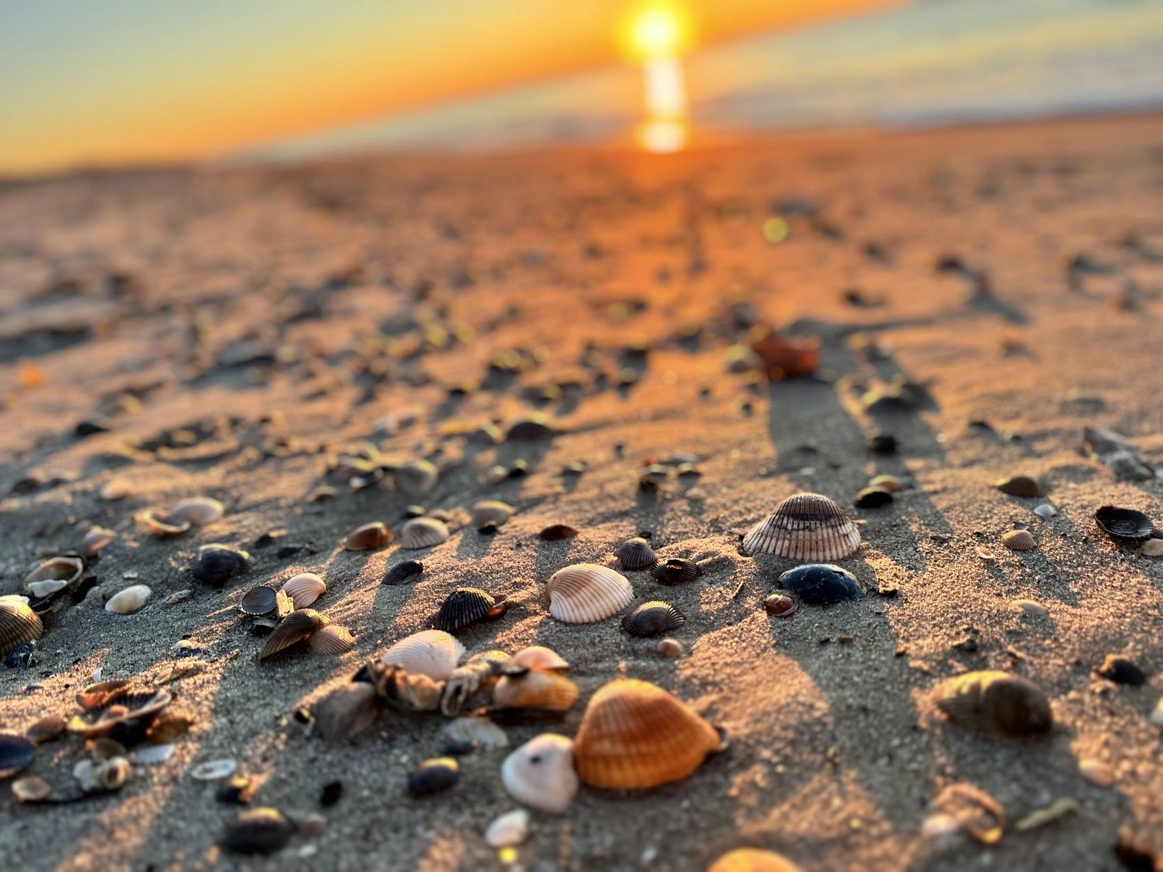🍂 Fall in Love with Oak Island: The Perfect Autumn Getaway
