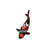 The Brick Pond Specialist
