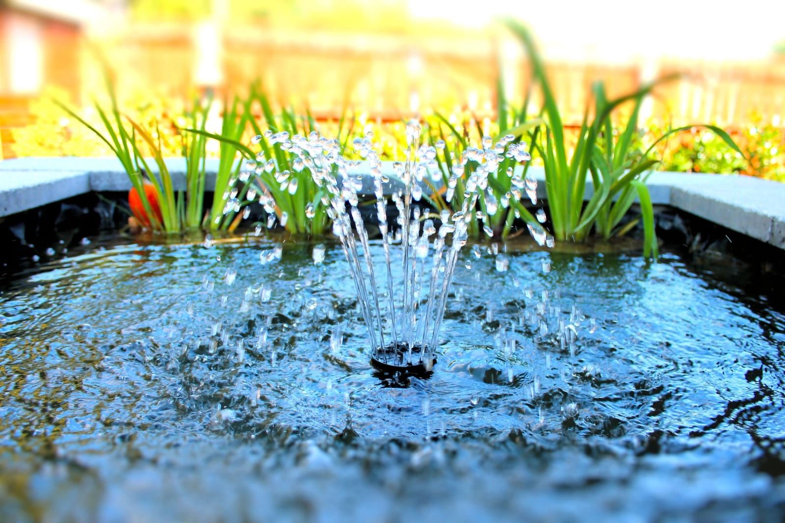 The Brick Pond Specialist Pond Builder, Landscaping, Ponds