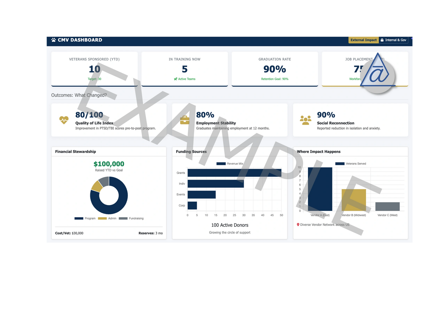 Professional Dashboard Example