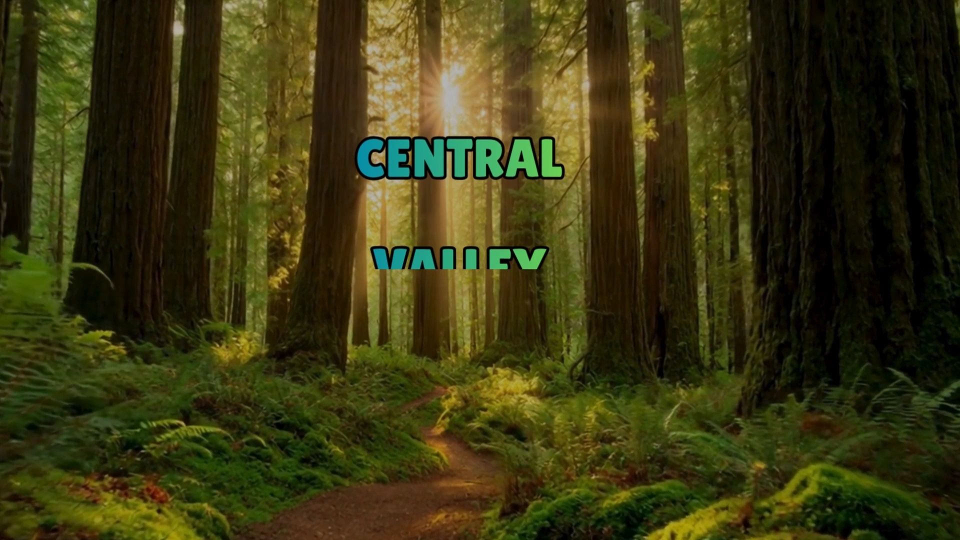 https://img1.wsimg.com/isteam/ip/081d573f-3749-4d03-982c-f43072a14b4e/thumbnails/thumbnail-71ed07b8-f310-41f0-b8fd-30fec420595c.png