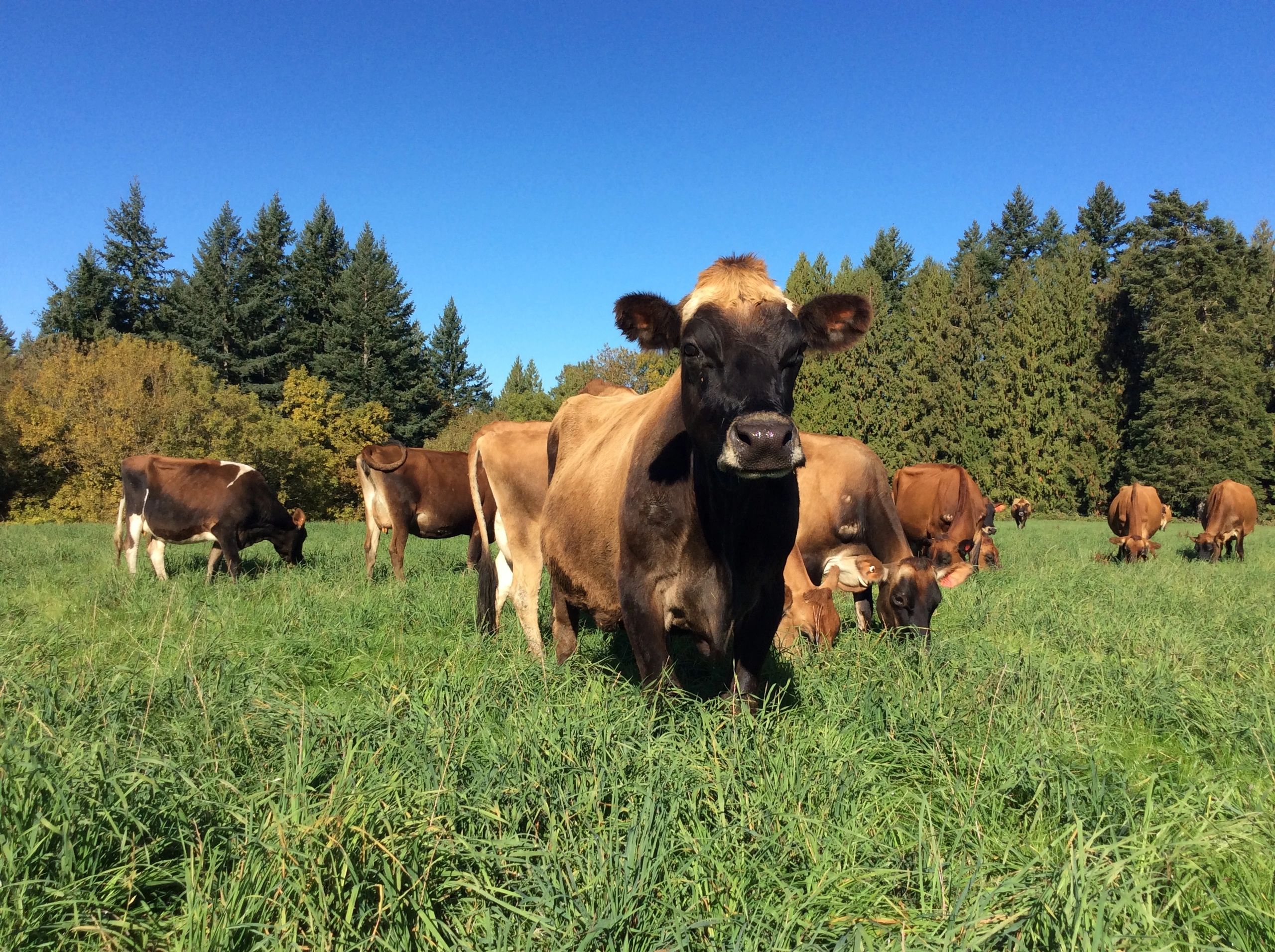 Lady-Lane Farm photo 15