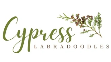 Cypress Labradoodles