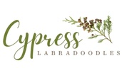 Cypress Labradoodles