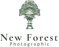 New Forest Photographic