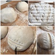  Bread 
Sourdough
Levain
Pain 