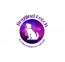 Beyond Fetch