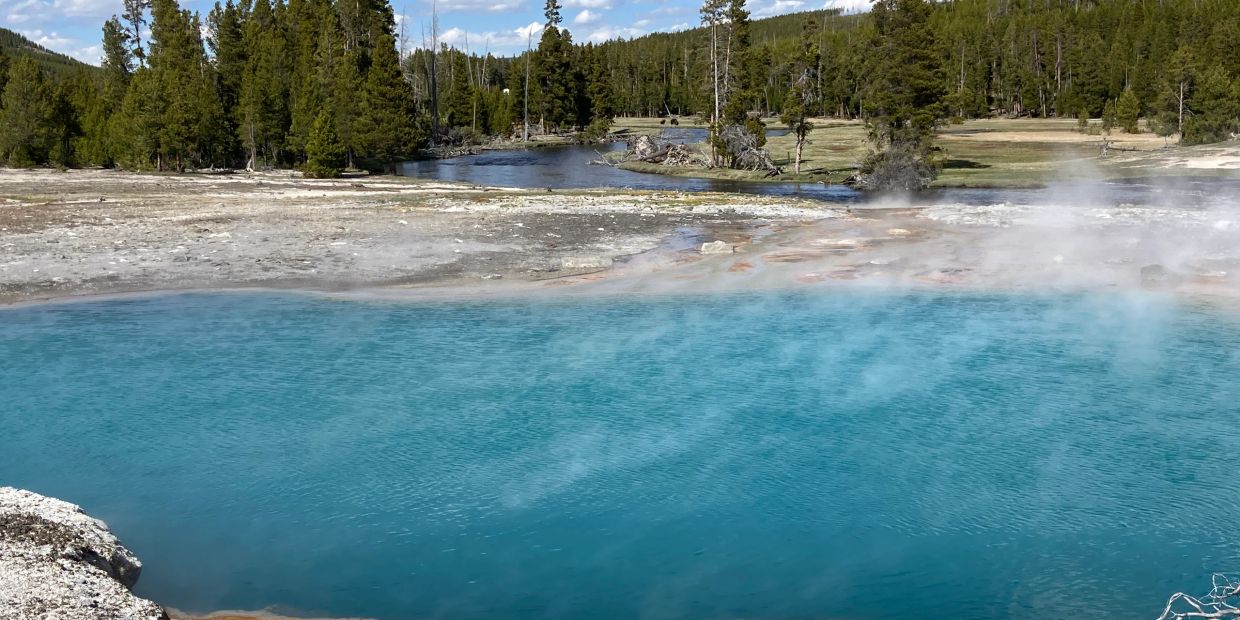 A steaming hot spring surrounded by trees and a river.