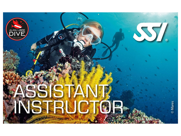 curso assistant instructor ssi alma libre dive cozumel 
