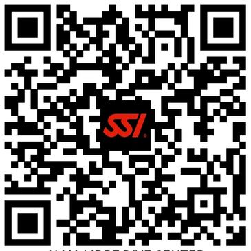 registro myssi app