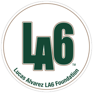 Lucas Alvarez LA6 foundation