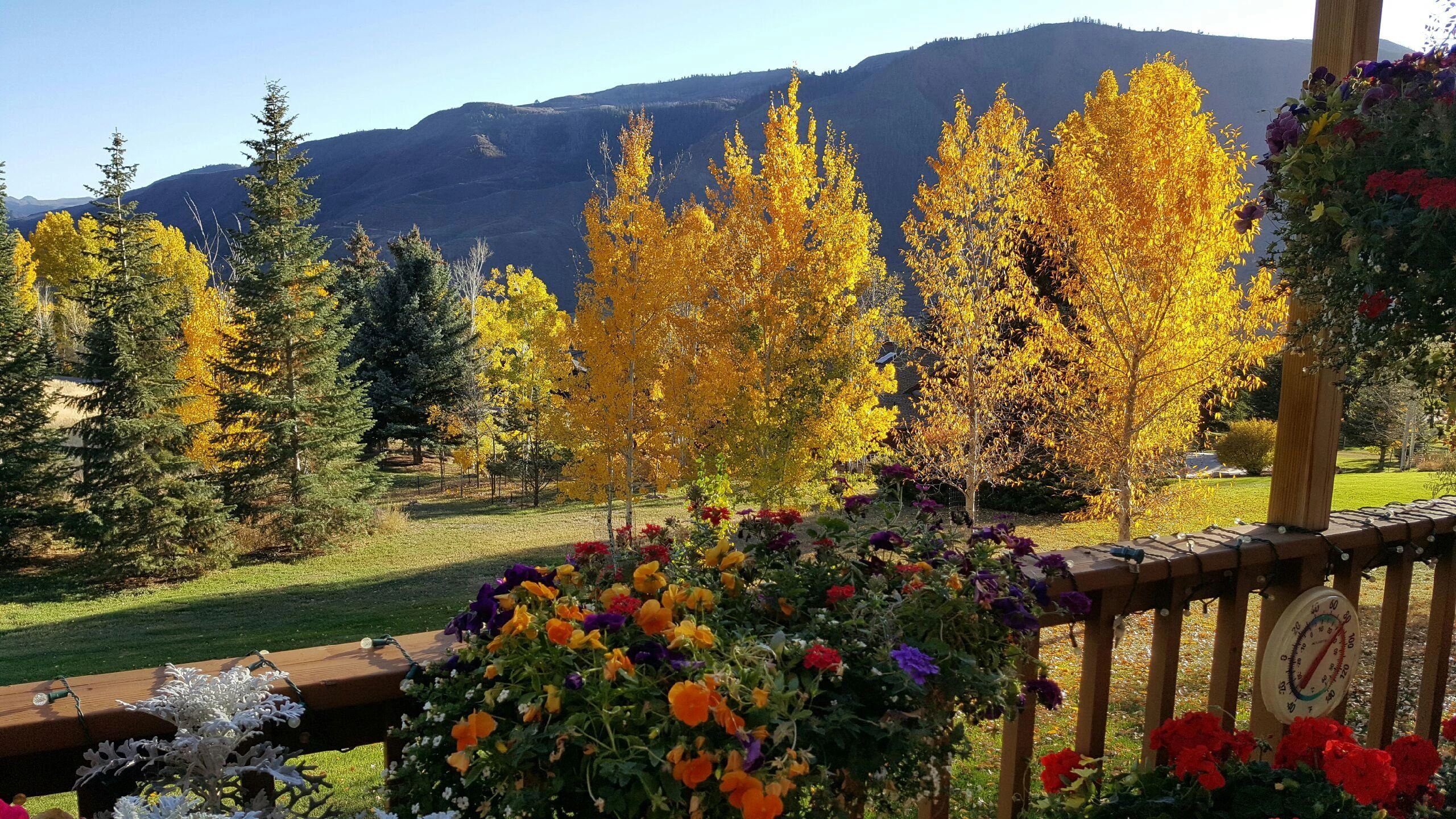 Property Management Glenwood Springs, Colorado