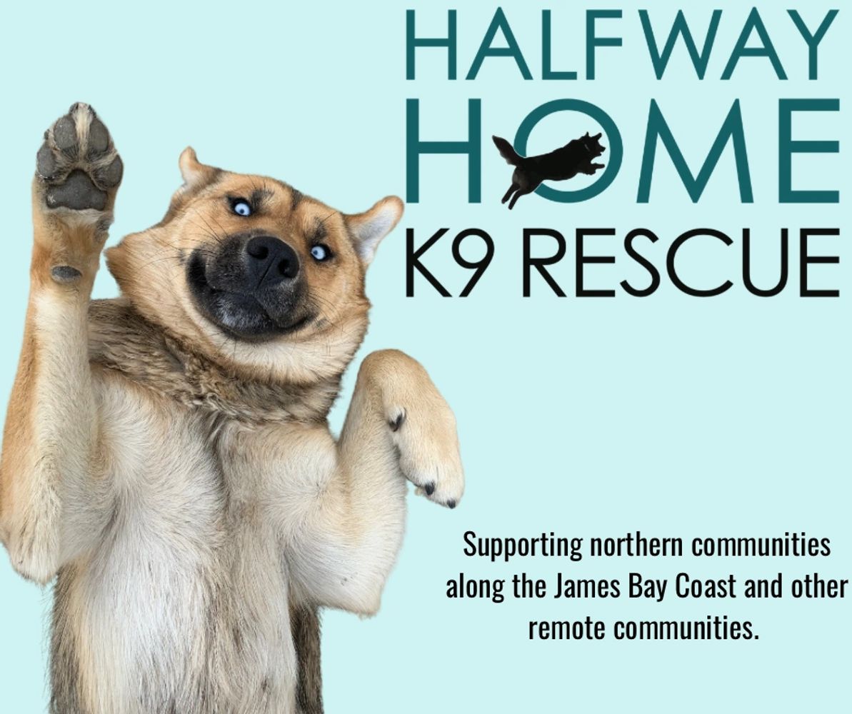 Halfway Home K9 Rescue Home