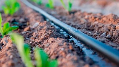 Gainesville Tx Drip Irrigation Texas Professional Handyman Expert Property Improvement Home Repair