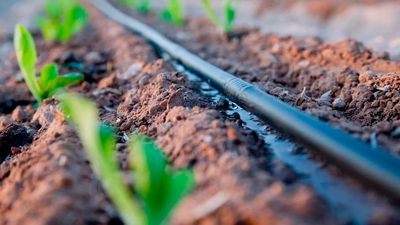 Krum Drip Irrigation Tx Texas Professional Handyman Expert Property Improvement Home Maintenance