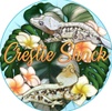 Crestie Shack