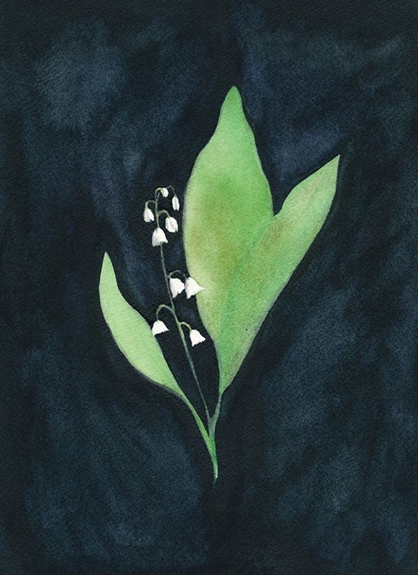 Lily of the Valley watercolour painting on a black background by artist Renee Anne Bouffard-McManus