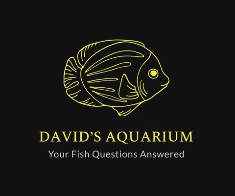 David’s Aquarium Australia