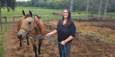 Martin Faith's Percherons in Beloit, WI| Horse boarding in Beloit, WI| Horse Rescue in Wisconsin