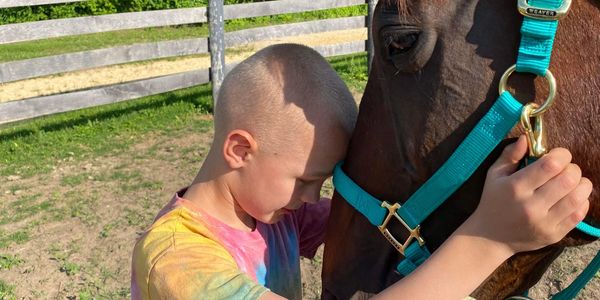 Horse Rescue in Lake Geneva, WI| Horse Rescue in Beloit, WI| Horse adoption and rehabilitation