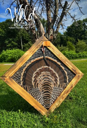 Framed turkey feather art displayed outdoors.