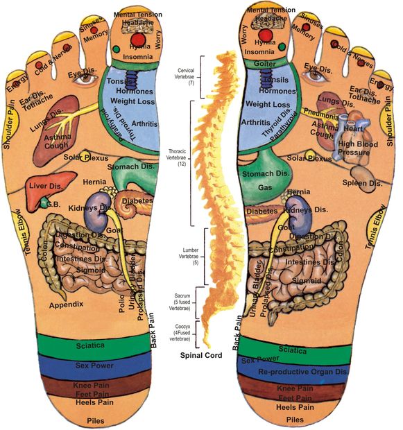 Foot Reflexology and massage treats chronic conditions MS, Parkinsons, Kidney stones, Migraine