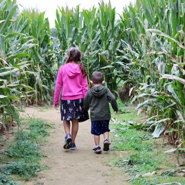 kids walking around the maze