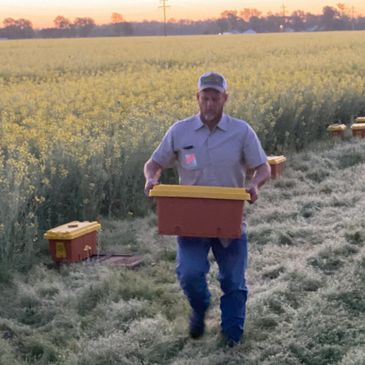 Indian Creek Bee Co photo 7