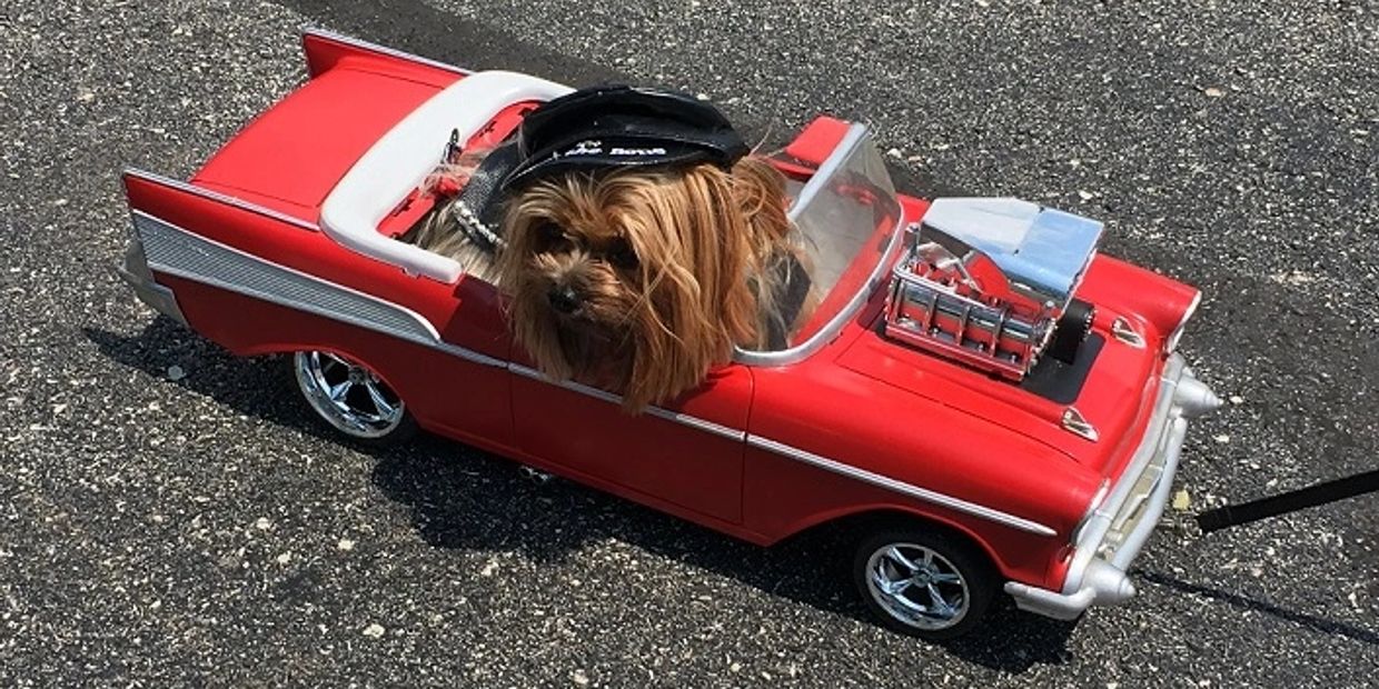 A small dog wearing a hat in a red toy car on asphalt.