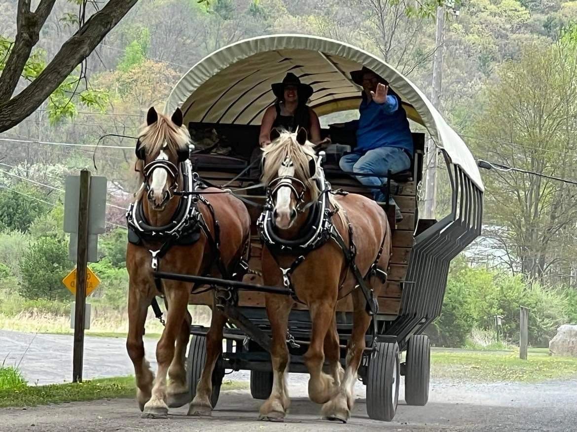 2024 Ole Covered Wagon Waterfall Ride, Wellsboro PA Bus Tour & Travel
