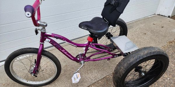 3 wheel special needs bicycle bike