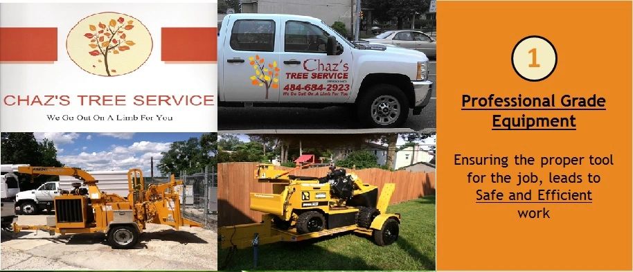 About | CHAZ'S TREE SERVICE
