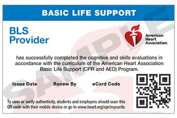 Basic Life Support (BLS) Provider certificate from American Heart Association.